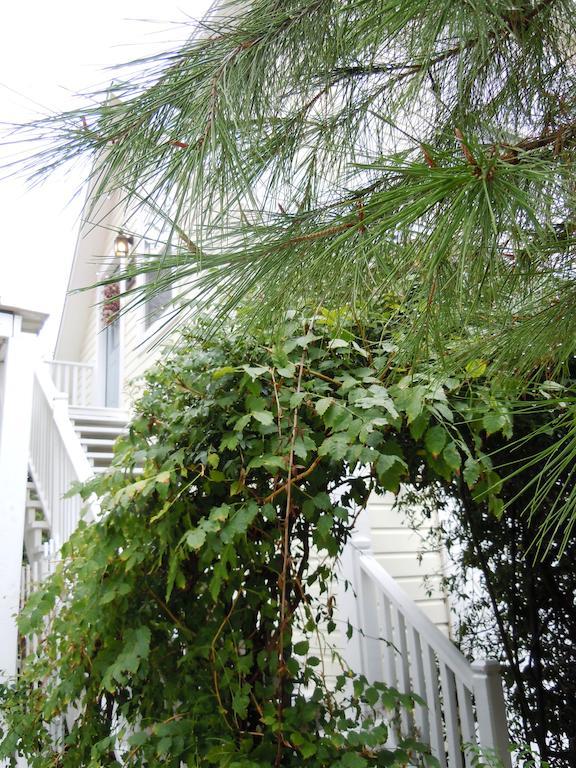 Carriage House Fredericksburg Bed and Breakfast Exterior foto